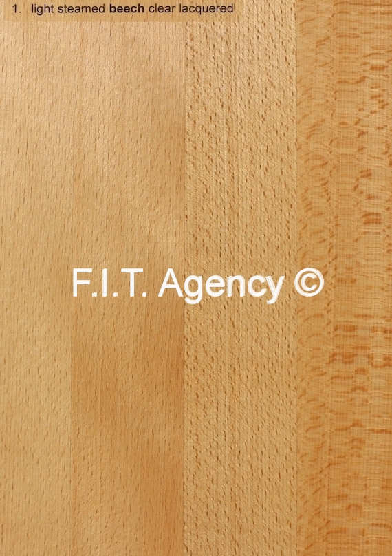 Holzarten/Farbtöne – F.I.T. Agency