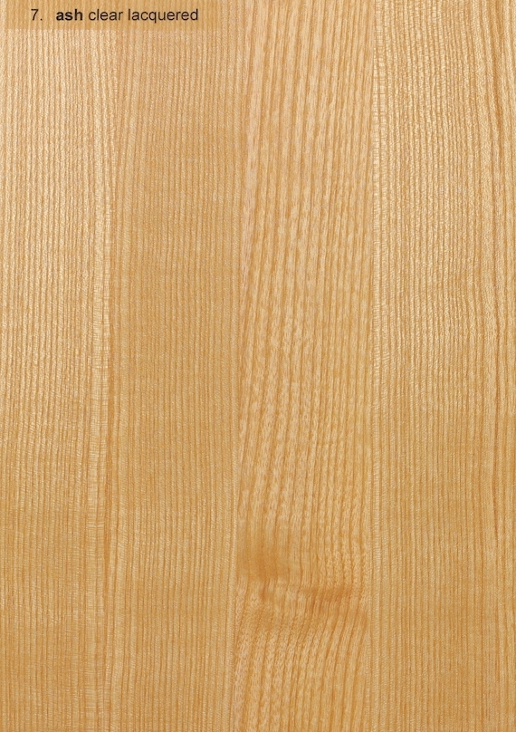 Holzarten 7