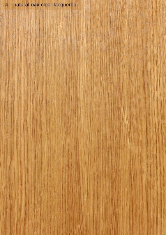 Holzarten 4