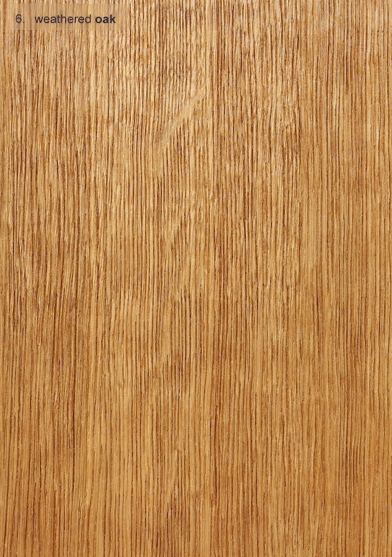 Holzarten 6